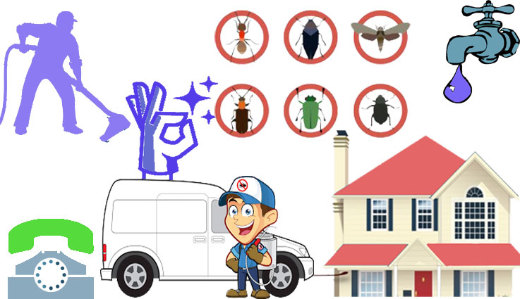 شركة رش مبيد بالبدائع